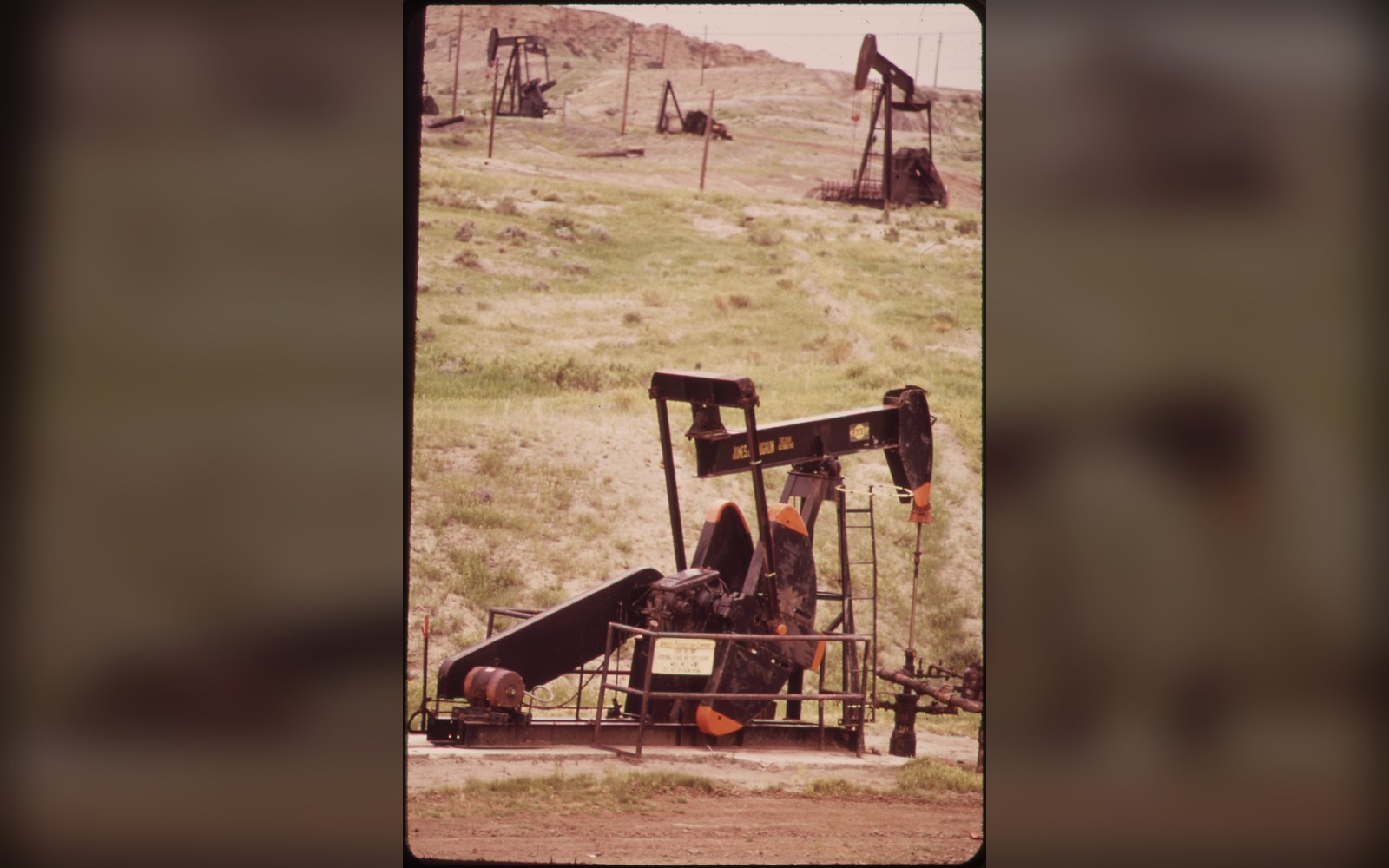 Oil pumpjacks dot a grassy hillside at a rural drilling field